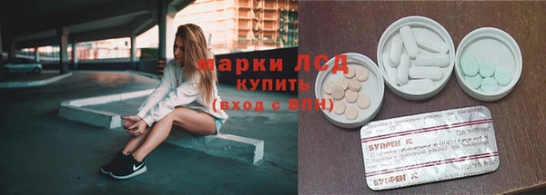 индика Сатка