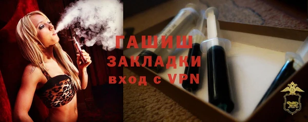 индика Сатка