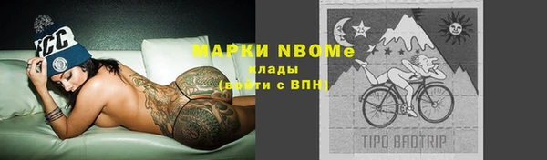 индика Сатка