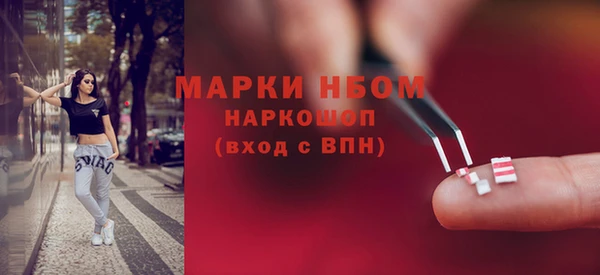 индика Сатка