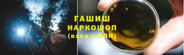 индика Сатка