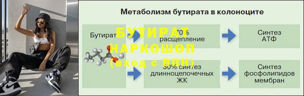 индика Сатка