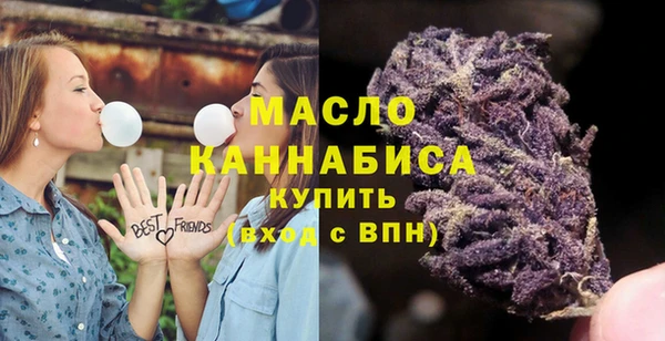 индика Сатка