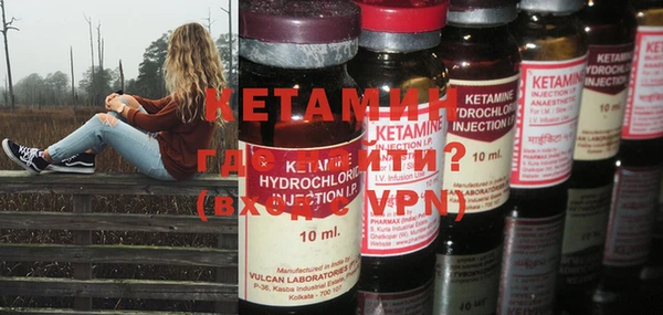 индика Сатка