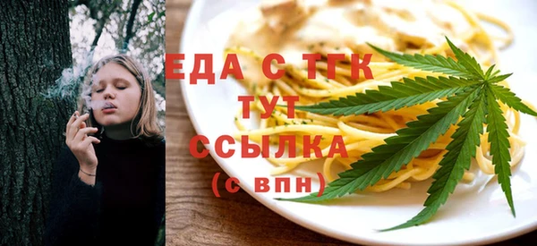 индика Сатка