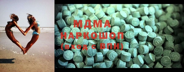 индика Сатка