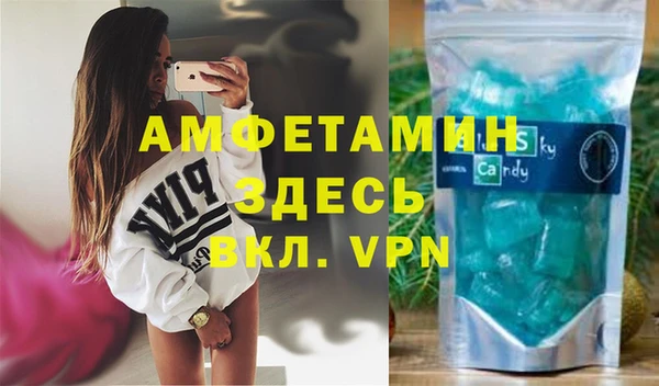 индика Сатка