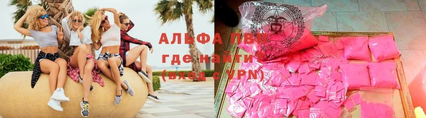 индика Сатка