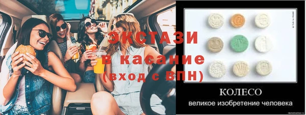 индика Сатка