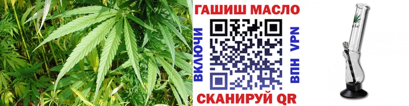 Купить где  Шахунья  Дистиллят ТГК концентрат 