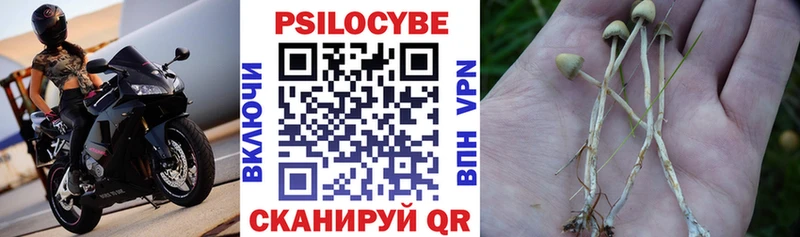 Купить Шахунья Галлюциногенные грибы мицелий